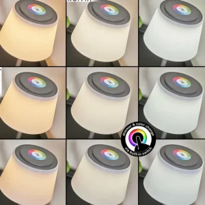 hofstein Lampe à poser Burzaco LED Anthracite, 1 lumière, Changeur de couleurs* Lampes Modernes