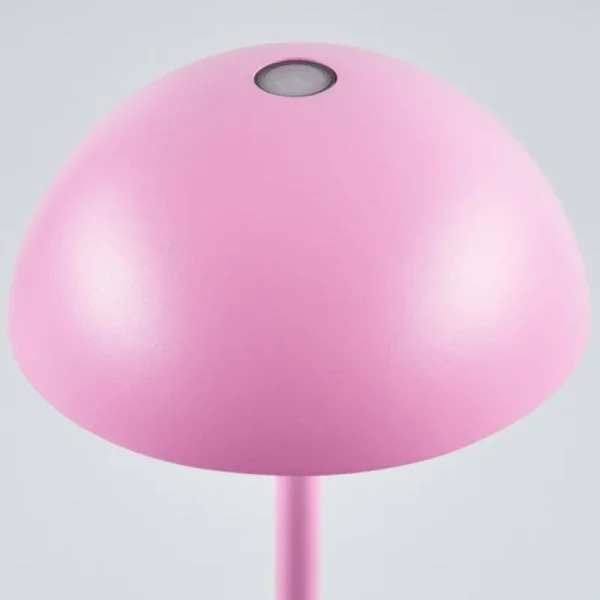 hofstein Lampe à poser Pelaro LED Rose, 1 lumière* Lampes Modernes