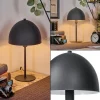 hofstein Lampe Champignon Tati Lampe à poser Anthracite, 1 lumière* Lampes Modernes