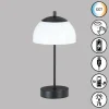 FHL easy Lampe de table Riva LED Noir, 1 lumière* Lampes En Verre