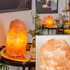 hofstein Lampe de table Sansou Rose, Blanc, 1 lumière* Lampes Modernes