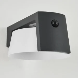 hofstein Lampe solaires Lafite LED Anthracite, 1 lumière, Détecteur de mouvement* Lampes Modernes