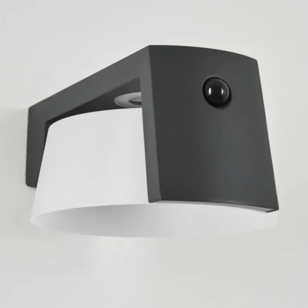 hofstein Lampe solaires Lafite LED Anthracite, 1 lumière, Détecteur de mouvement* Lampes Modernes