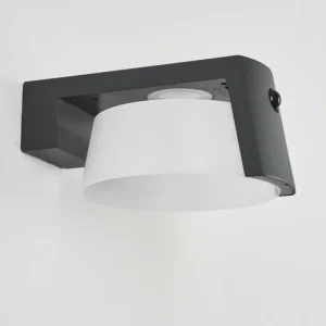 hofstein Lampe solaires Lafite LED Anthracite, 1 lumière, Détecteur de mouvement* Lampes Modernes