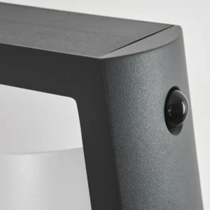 hofstein Lampe solaires Lafite LED Anthracite, 1 lumière, Détecteur de mouvement* Lampes Modernes