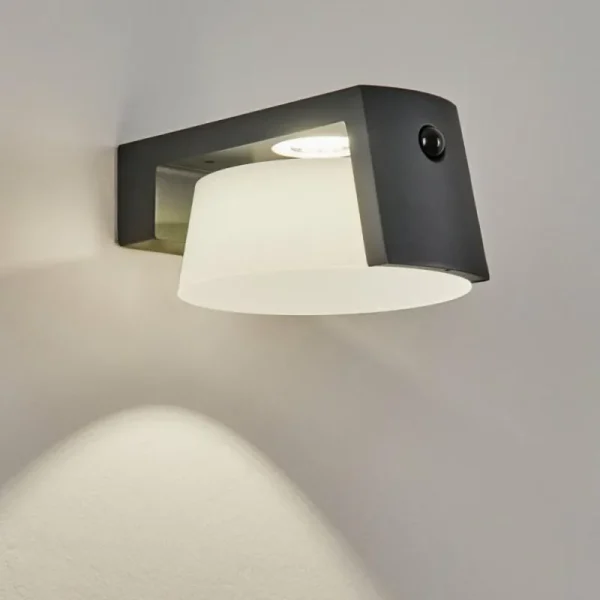 hofstein Lampe solaires Lafite LED Anthracite, 1 lumière, Détecteur de mouvement* Lampes Modernes