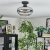 hofstein Mertola Plafonnier Clair, Fumé, 1 lumière* Lampes Modernes