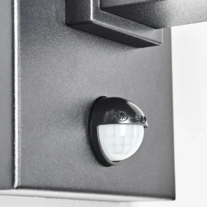 hofstein Monfanim Lampe murale d´extérieur Noir, 1 lumière* Lampes Modernes