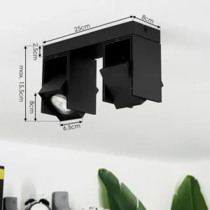 hofstein Plafonnier Prassinet Noir, 2 lumières* Lampes Modernes