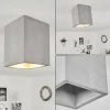 hofstein Plafonnier Stettler Gris, 1 lumière* Lampes Modernes