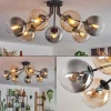 hofstein Plafonnier - Verre 10 cm, 12 cm, 15 cm Gastor Ambre, Fumé, 7 lumières* Lampes Modernes