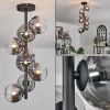 hofstein Plafonnier - Verre 12 cm Chehalis Clair, Fumé, 8 lumières* Lampes Modernes