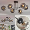 hofstein Plafonnier - Verre 15 cm Gastor Fumé, 6 lumières* Lampes Modernes