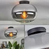 hofstein Plafonnier - Verre Apedo Clair, Fumé, 1 lumière* Lampes Modernes