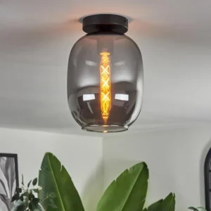 hofstein Plafonnier - Verre Apedo Fumé, 1 lumière* Lampes Modernes