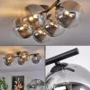 hofstein Plafonnier - Verre Chehalis Clair, Fumé, 4 lumières* Lampes Modernes