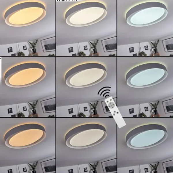 hofstein Plafonnier Beade LED Gris, Blanc, 1 lumière, Télécommandes, Changeur de couleurs* Lampes Modernes