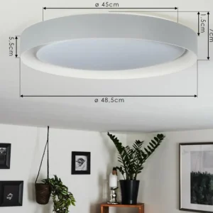 hofstein Plafonnier Beade LED Gris, Blanc, 1 lumière, Télécommandes, Changeur de couleurs* Lampes Modernes