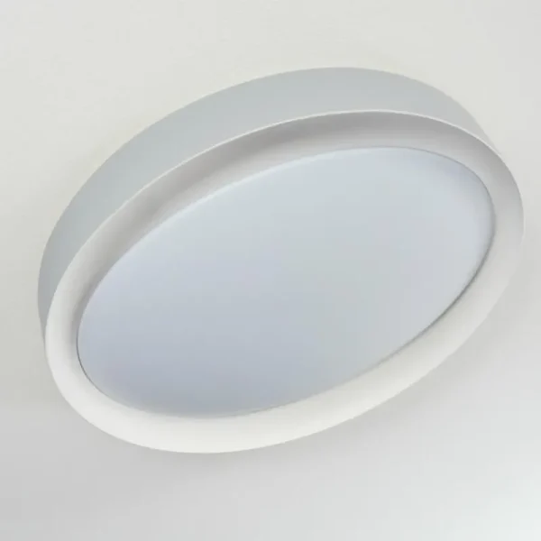 hofstein Plafonnier Beade LED Gris, Blanc, 1 lumière, Télécommandes, Changeur de couleurs* Lampes Modernes