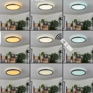 hofstein Plafonnier Buris LED Noir, Blanc, 1 lumière, Télécommandes* Lampes Modernes