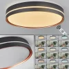 hofstein Plafonnier Cachalot LED Cuivre, Noir, 1 lumière, Télécommandes, Changeur de couleurs* Lampes Modernes