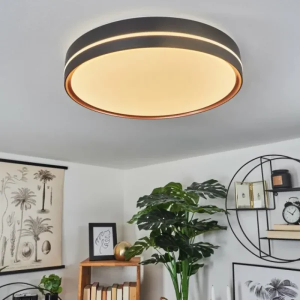 hofstein Plafonnier Cachalot LED Cuivre, Noir, 1 lumière, Télécommandes, Changeur de couleurs* Lampes Modernes