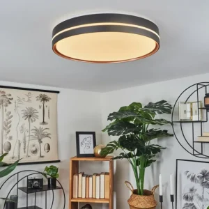 hofstein Plafonnier Cachalot LED Cuivre, Noir, 1 lumière, Télécommandes, Changeur de couleurs* Lampes Modernes