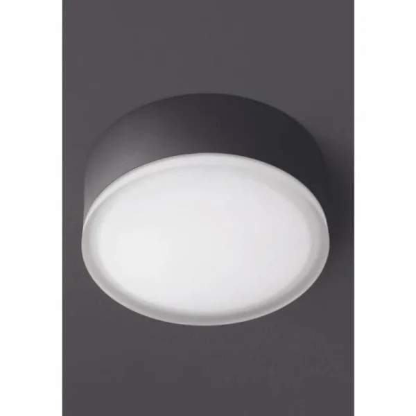 Luminaires LCD plafonnier extérieur LCD Grasbrunn LED Noir, 1 lumière* Lampes En Verre