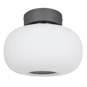 Luminaires Globo Lighting Plafonnier Globo LED Anthracite, Nickel mat, 1 lumière* Lampes En Verre