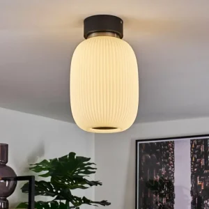 hofstein Plafonnier Sebep LED Noir, 1 lumière* Lampes En Verre