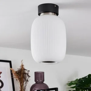 hofstein Plafonnier Sebep LED Noir, 1 lumière* Lampes En Verre