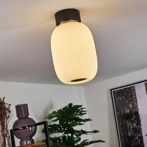 hofstein Plafonnier Sebep LED Noir, 1 lumière* Lampes En Verre