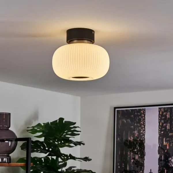 hofstein Plafonnier Sebep LED Noir, 1 lumière* Lampes En Verre