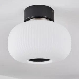 hofstein Plafonnier Sebep LED Noir, 1 lumière* Lampes En Verre