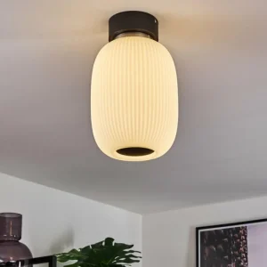 hofstein Plafonnier Sebep LED Noir, 1 lumière* Lampes En Verre