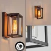 hofstein Portalis Lampe murale d´extérieur Brun, Couleur bois, Noir, 1 lumière* Lampes Modernes