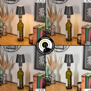 hofstein Salgadinho Lampe de table d'extérieur, Lampe à poser LED Noir, 1 lumière* Lampes Modernes