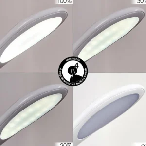hofstein Sneslev Lampe de bureau, Lampe à poser LED Blanc, 1 lumière, Changeur de couleurs* Lampes Modernes