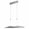 Luminaires Fischer & Honsel Suspension Fischer & Honsel COLMAR LED Nickel mat, 1 lumière* Lampes En Verre