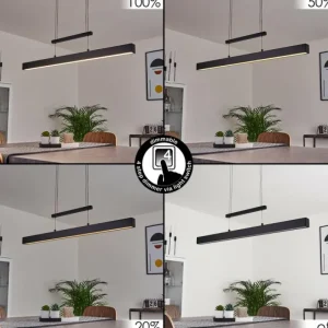 hofstein Suspension Ifo LED Noir, 1 lumière* Lampes Modernes