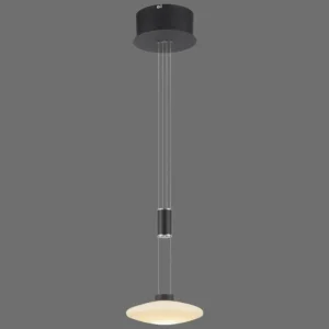 Luminaires Paul Neuhaus Suspension Paul Neuhaus LAUTADA LED Noir, 1 lumière* Lampes En Verre