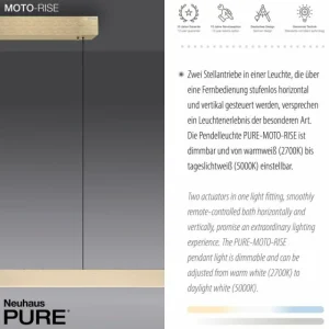 Luminaires Paul Neuhaus Suspension Paul Neuhaus PURE-MOTO-RISE LED Or, 3 lumières, Télécommandes* Lampes En Verre