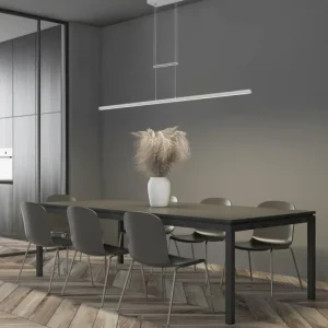 Luminaires Steinhauer Suspension Steinhauer Profilo LED Acier brossé, 1 lumière* Lampes En Verre