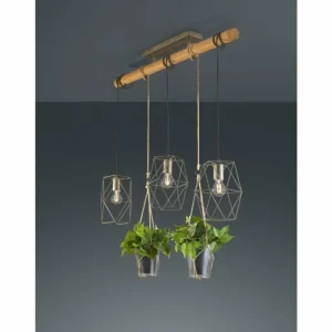 Luminaires Trio Suspension Trio Plant LED Brun foncé, Nickel mat, 3 lumières* Lampes En Verre