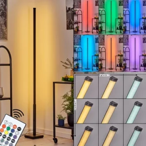 hofstein Uglestrup Lampadaire LED Noir, 1 lumière, Télécommandes, Changeur de couleurs* Lampes Modernes