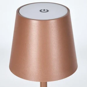 hofstein Vannie Lampe de table d'extérieur, Lampe à poser LED Brun, 1 lumière* Lampes Modernes