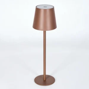 hofstein Vannie Lampe de table d'extérieur, Lampe à poser LED Brun, 1 lumière* Lampes Modernes